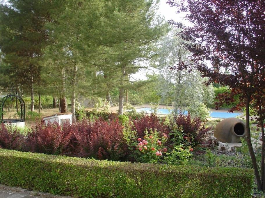 Villa Antares Para 2 A 10 Personas En Renera Экстерьер фото